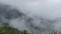 041.雨裡霧裡浸在水裡-浸水營古道圖片