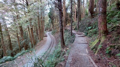 與鐵軌並行的塔山步道(攝影:張晉)圖片