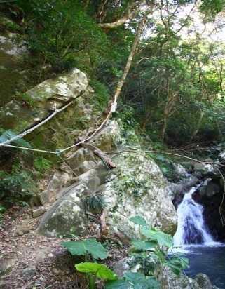 里龍山步道3